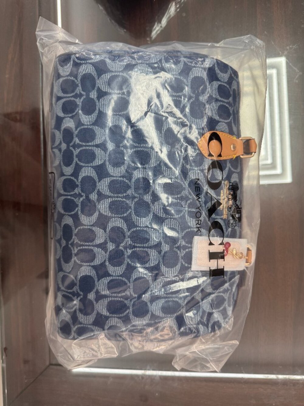 Coach Rowan Satchel Bag In Signature Denim Canvas NWT CY699